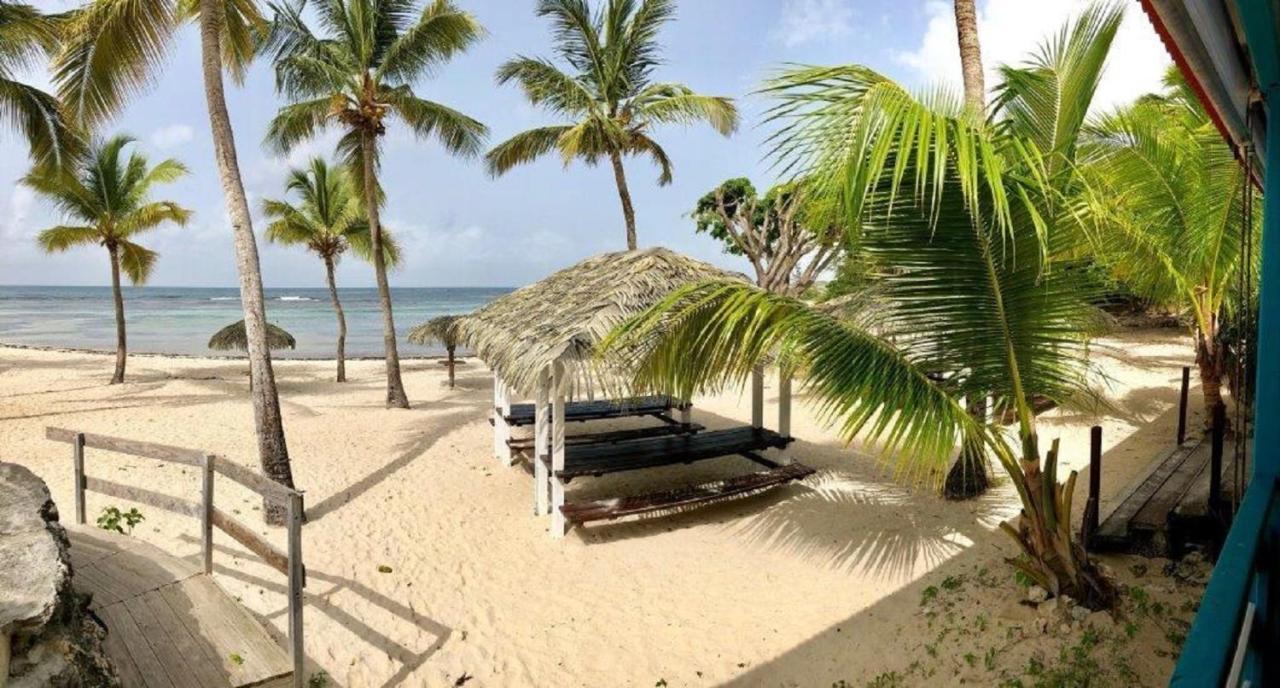 Studio Mojito vue mer av cuve eau et accès plage et piscine ANSE DES ROCHERS Saint-Francois  Extérieur photo