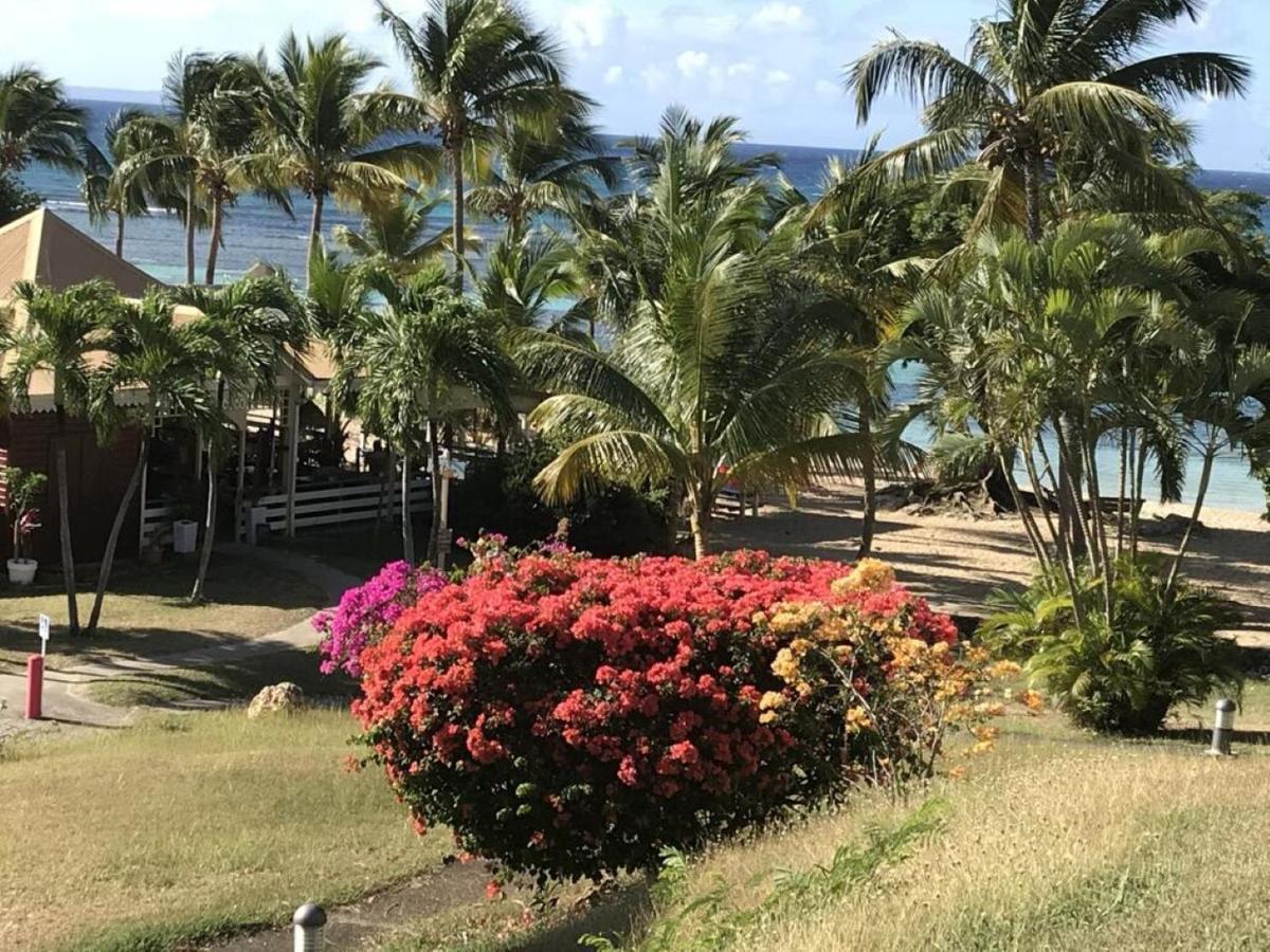 Studio Mojito vue mer av cuve eau et accès plage et piscine ANSE DES ROCHERS Saint-Francois  Extérieur photo