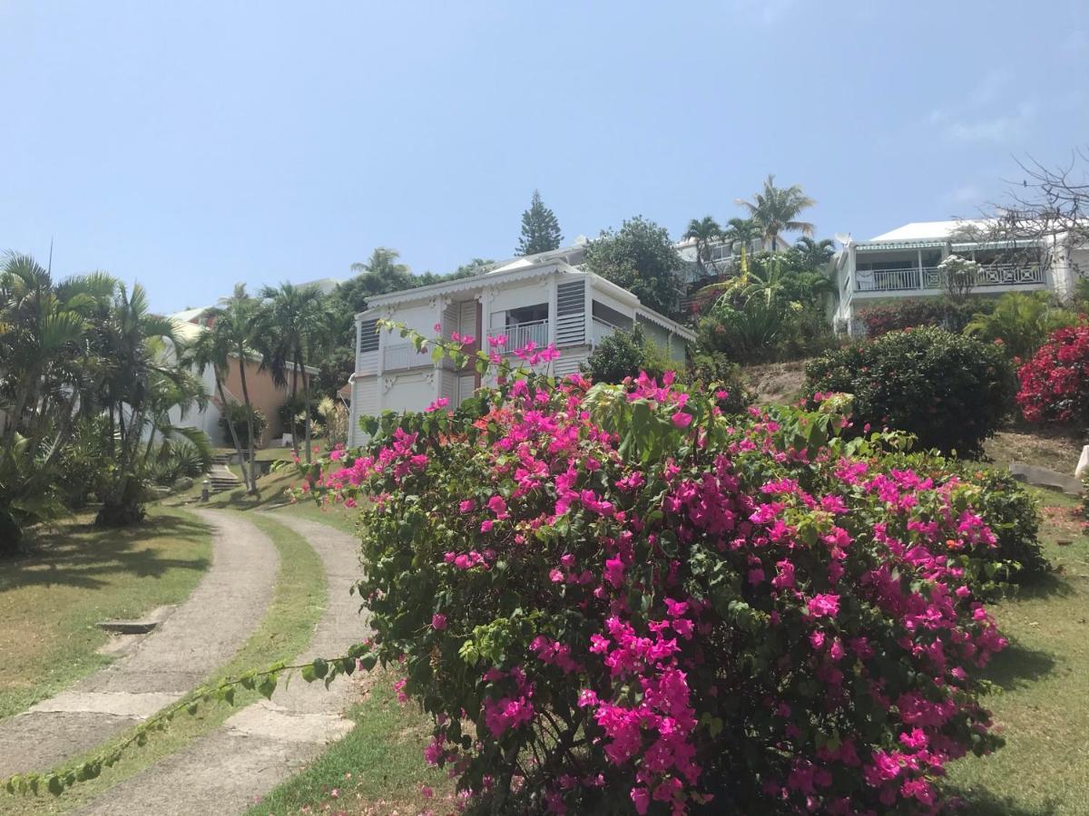Studio Mojito vue mer av cuve eau et accès plage et piscine ANSE DES ROCHERS Saint-Francois  Extérieur photo