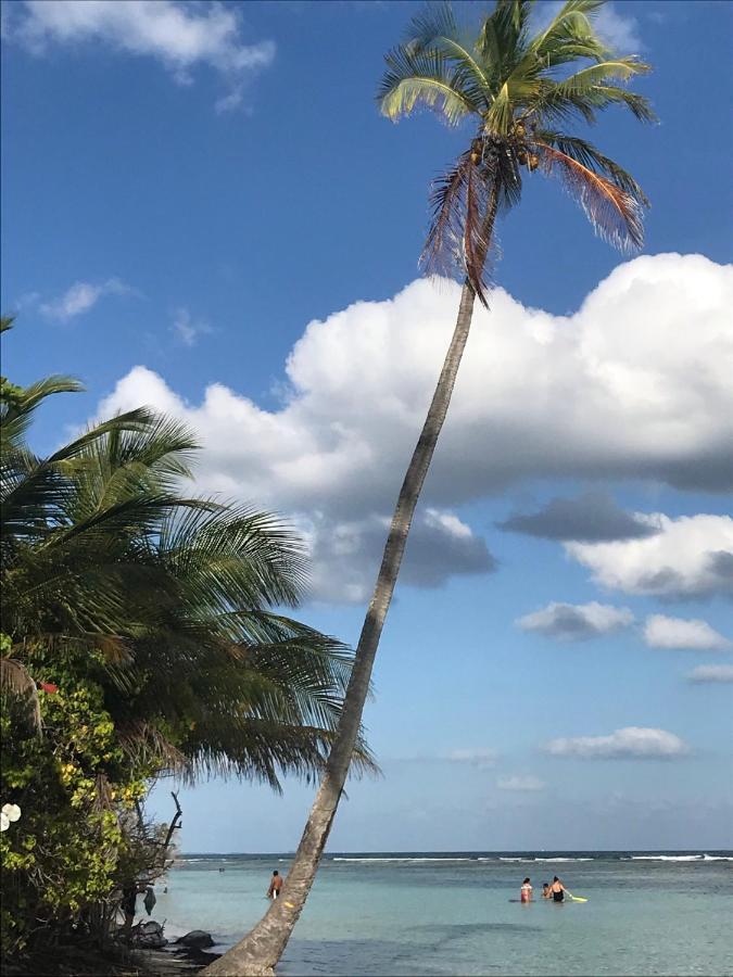 Studio Mojito vue mer av cuve eau et accès plage et piscine ANSE DES ROCHERS Saint-Francois  Extérieur photo
