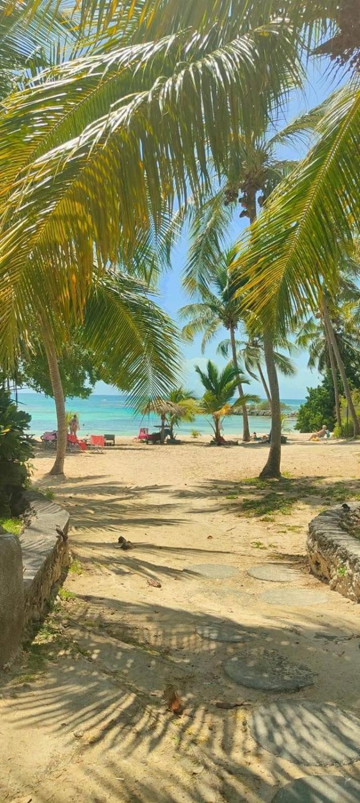 Studio Mojito vue mer av cuve eau et accès plage et piscine ANSE DES ROCHERS Saint-Francois  Extérieur photo